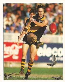 1994 Select AFL Stickers #207 Brian Leys Front